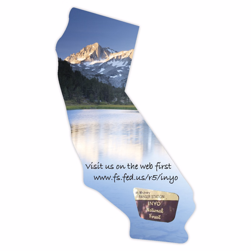 USA Made Premium UV Window Micro-Suction Cling Decal - California State Shape