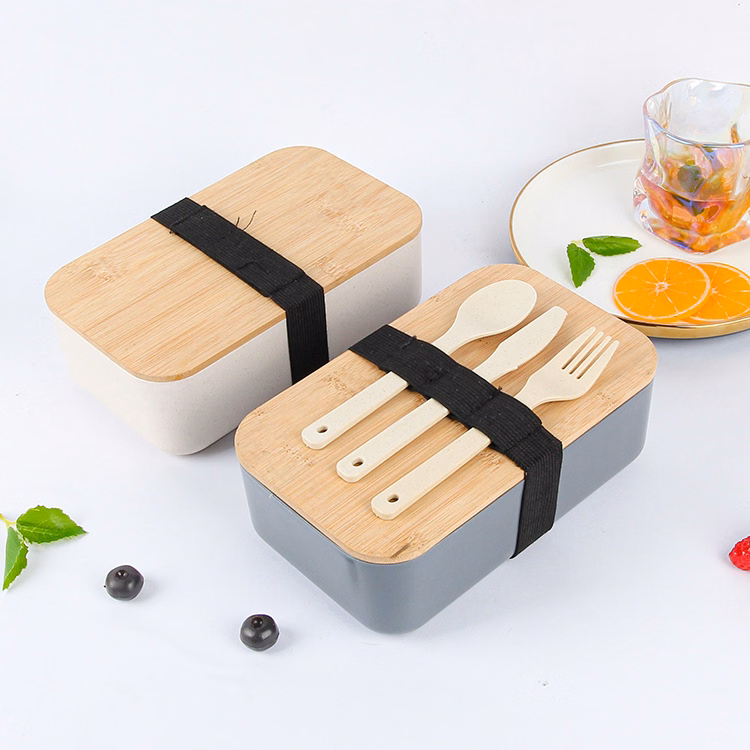 Bento Box Lunch Containers