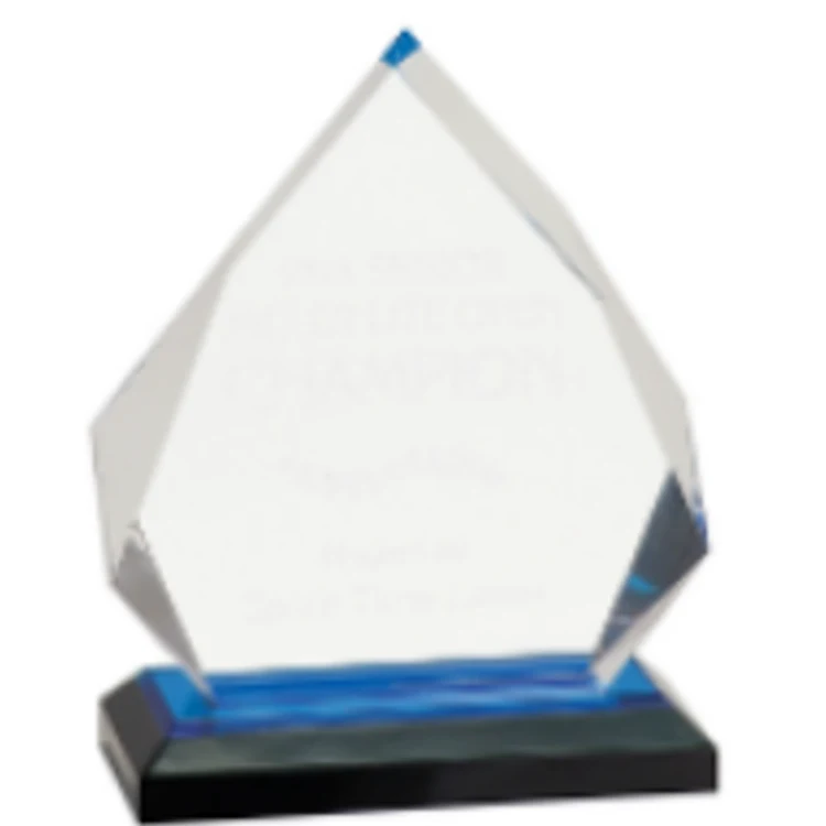 5.25" x 6.75" Blue Diamond Impress Award 1