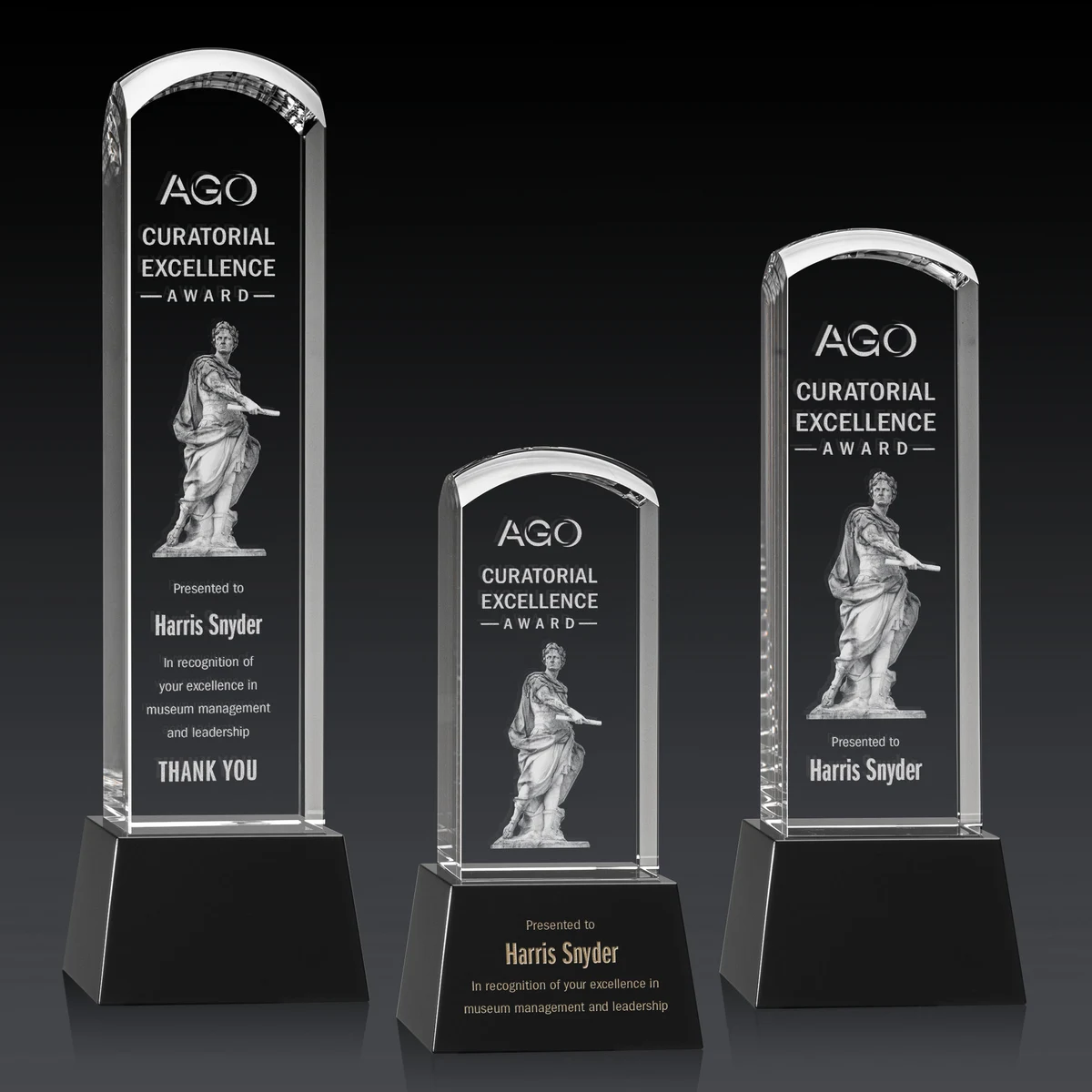 Silkwood 3D Award on Base - Black 1