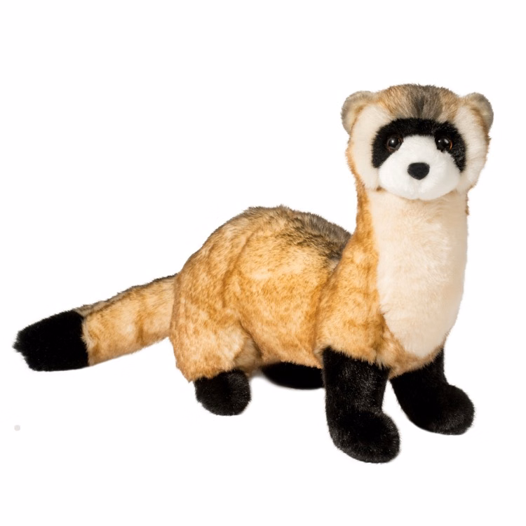 Vince Black-Footed Ferret Stuffed Animal