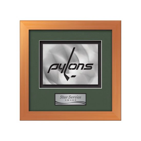 Eldridge Aquashape™ Award - Bronze 1