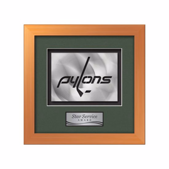 Eldridge Aquashape™ Award - Bronze