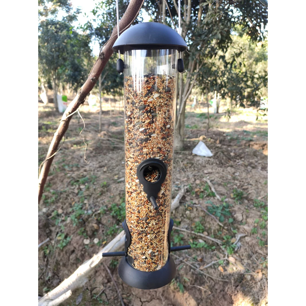 Birds Tube Feeders 1