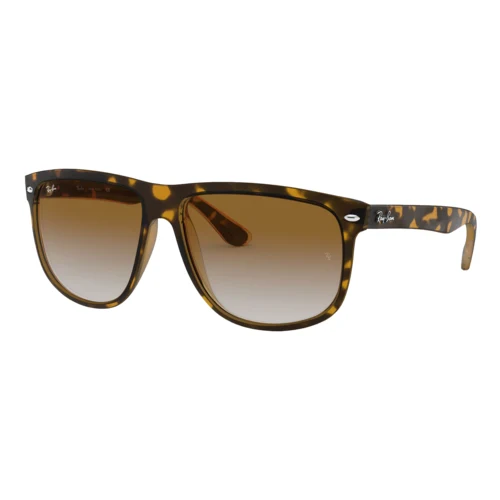 Ray-Ban Boyfriend Sunglasses 1