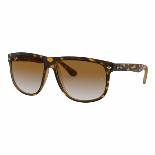 Ray-Ban Boyfriend Sunglasses
