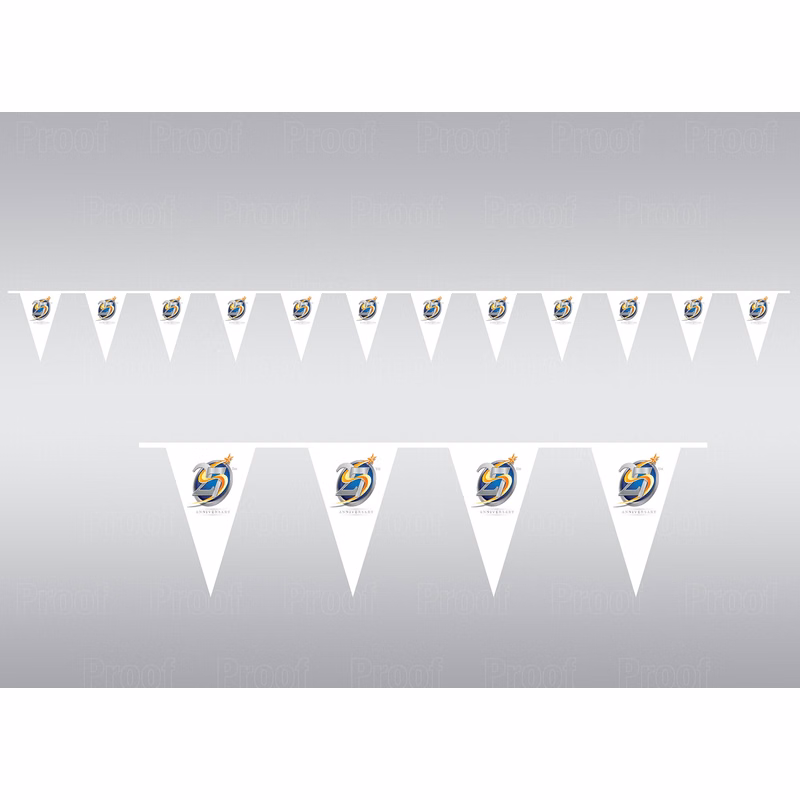Custom Printed Pennant Banner