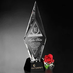 Chaska Award 1