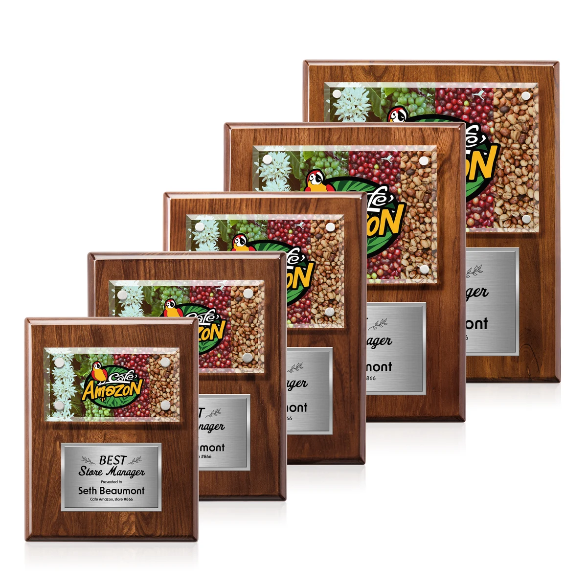 Gossamer VividPrint™ Plaque - Walnut/Silver 1