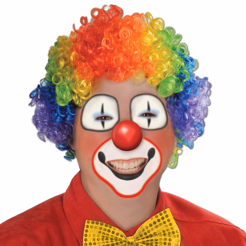 Rainbow Clown Wig