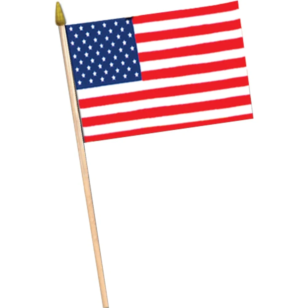 American Flags - 11" x 18" 1