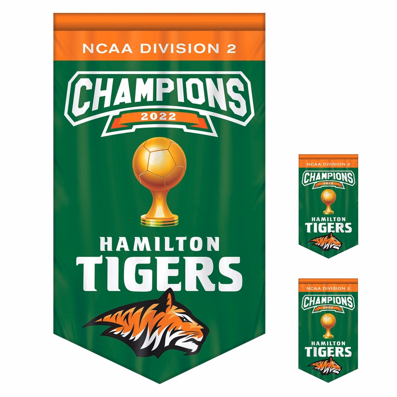 3' x 5' Championship Banner Double Sided V-Cut