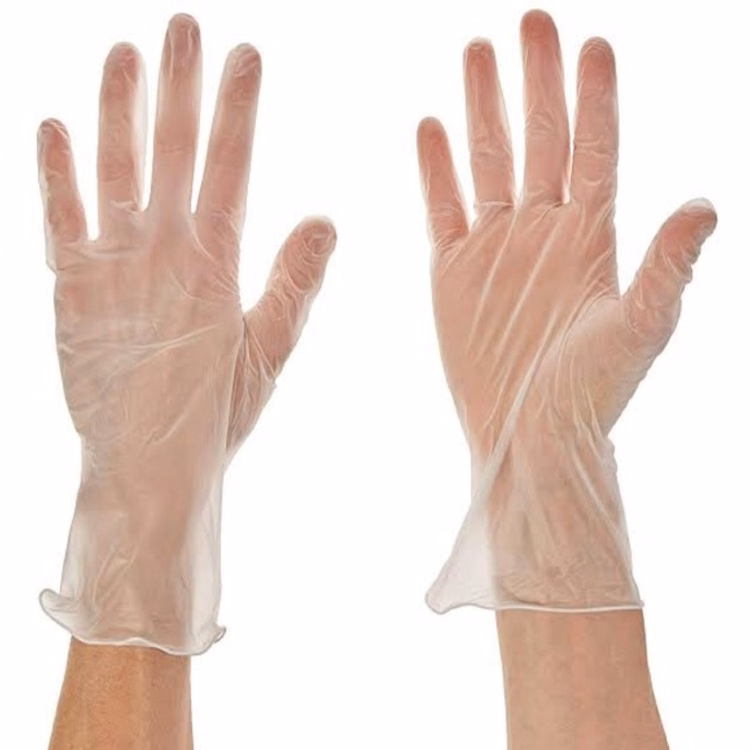 Vinyl Powder-free Gloves