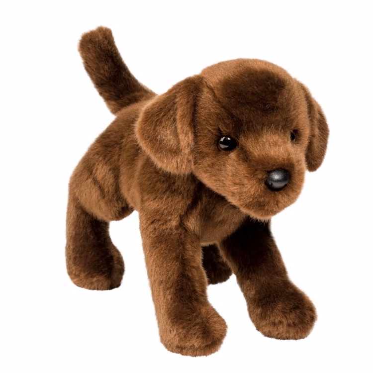 C.C. Bean Chocolate Lab