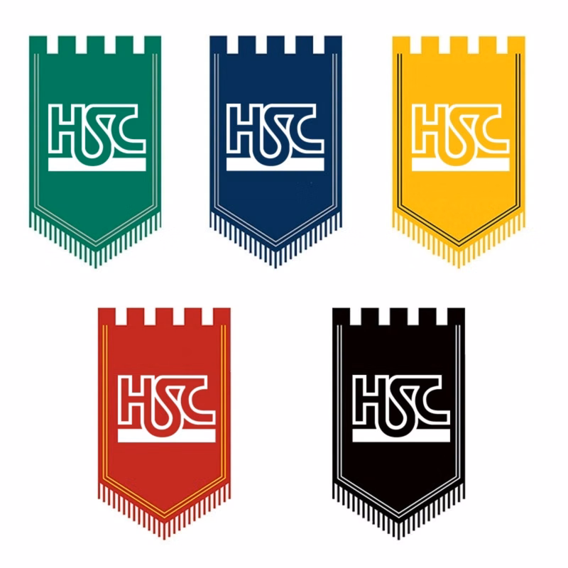 Five Pointed Hanging Flag