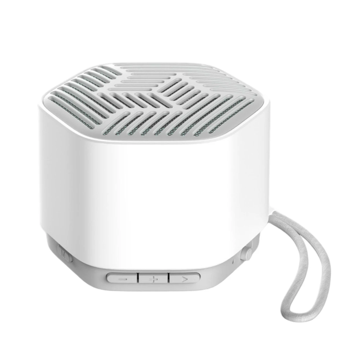 WoodTone Mini Speaker 1