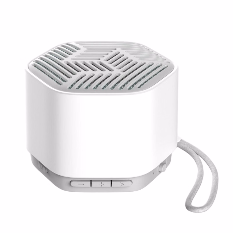 WoodTone Mini Speaker