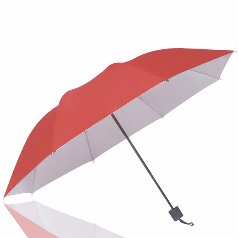 The Travel Umbrella
