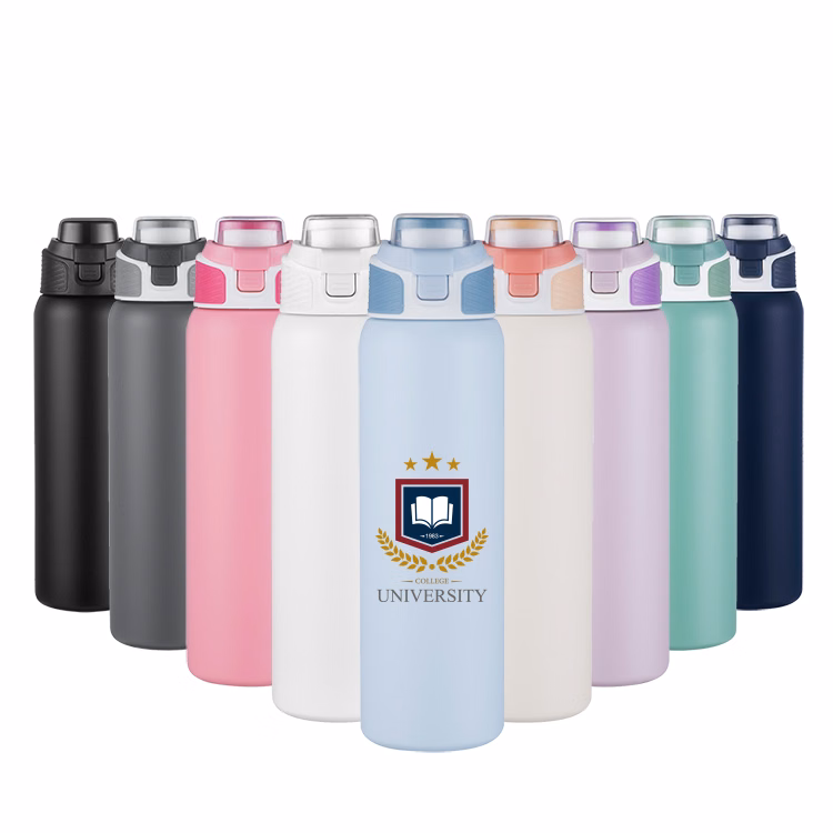28oz. Vacuum Insulated Stainless Steel Water Bottle with Handle Lid