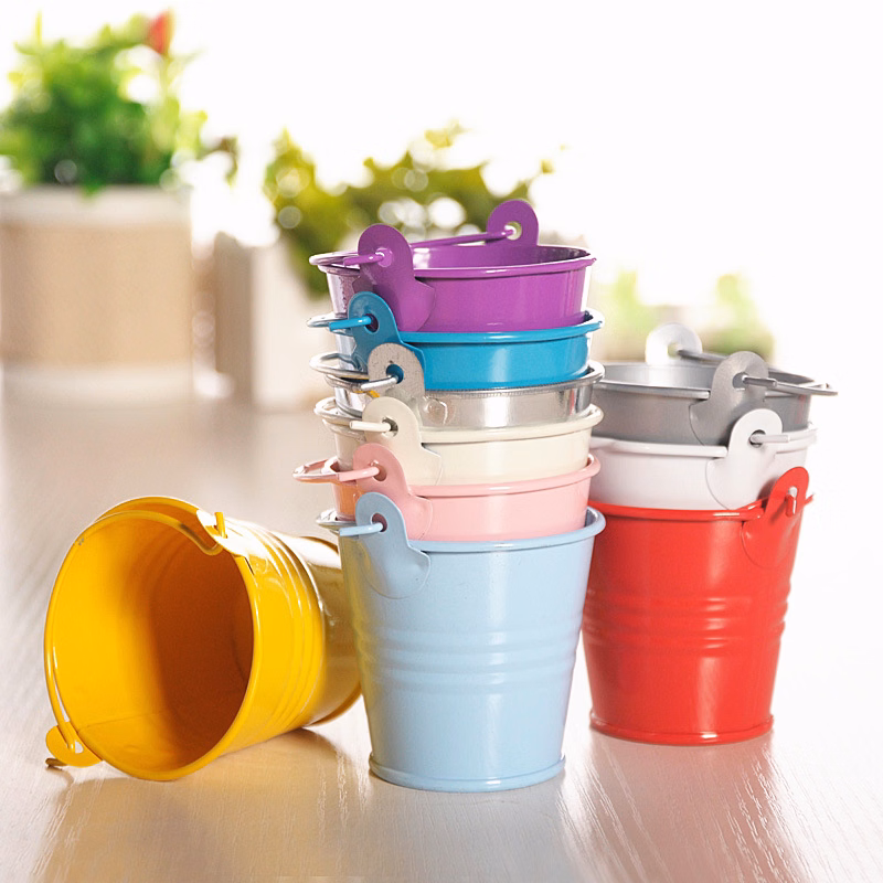 Mini Flower Planter Plant Pots Metal Pail Iron