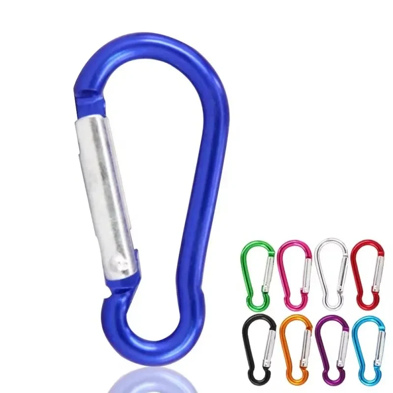 Refined Carabiner Clip Keychain 1