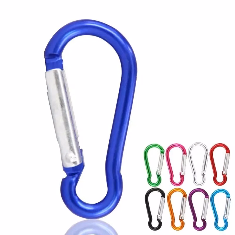 Refined Carabiner Clip Keychain