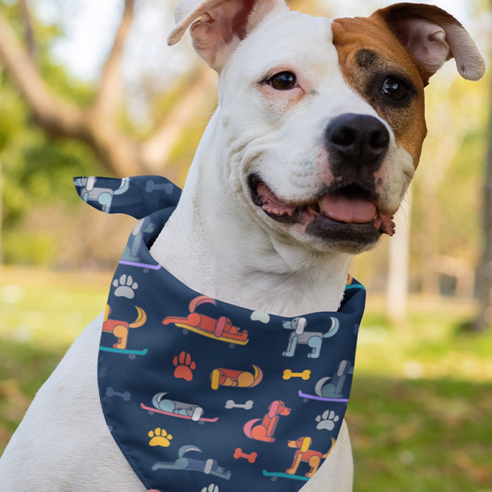 Pet Bandana Full Color 23x23