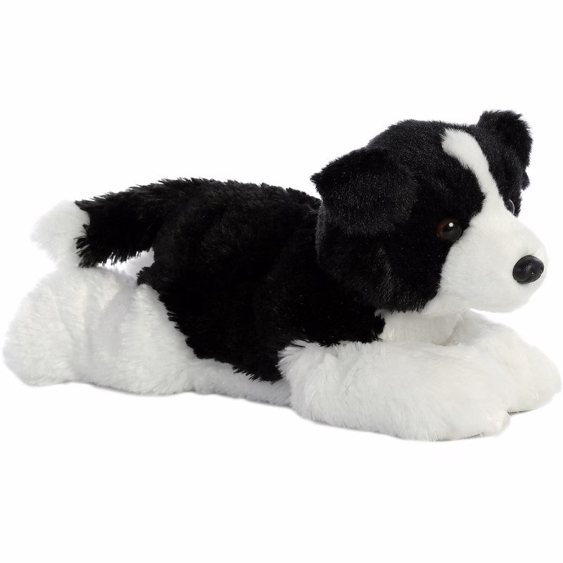 12" Border Collie