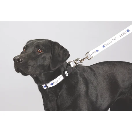 Full Color 1" Wide Premium Pet Leash 1