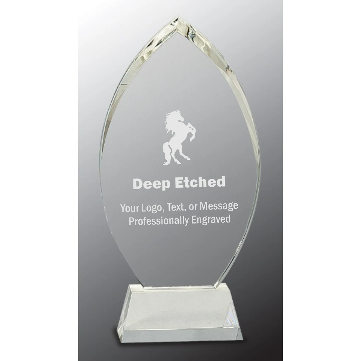10 1/4" Crystal Oval Award on Clear Base 1