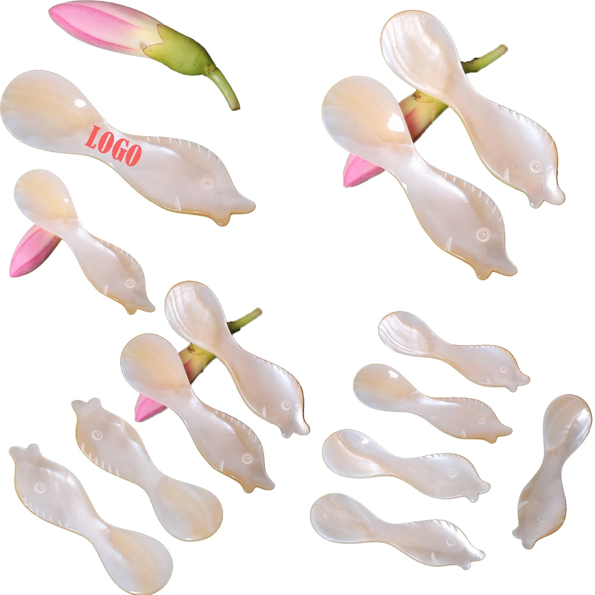 3.4 Inch Natural Pearl Caviar Shell Spoon 1