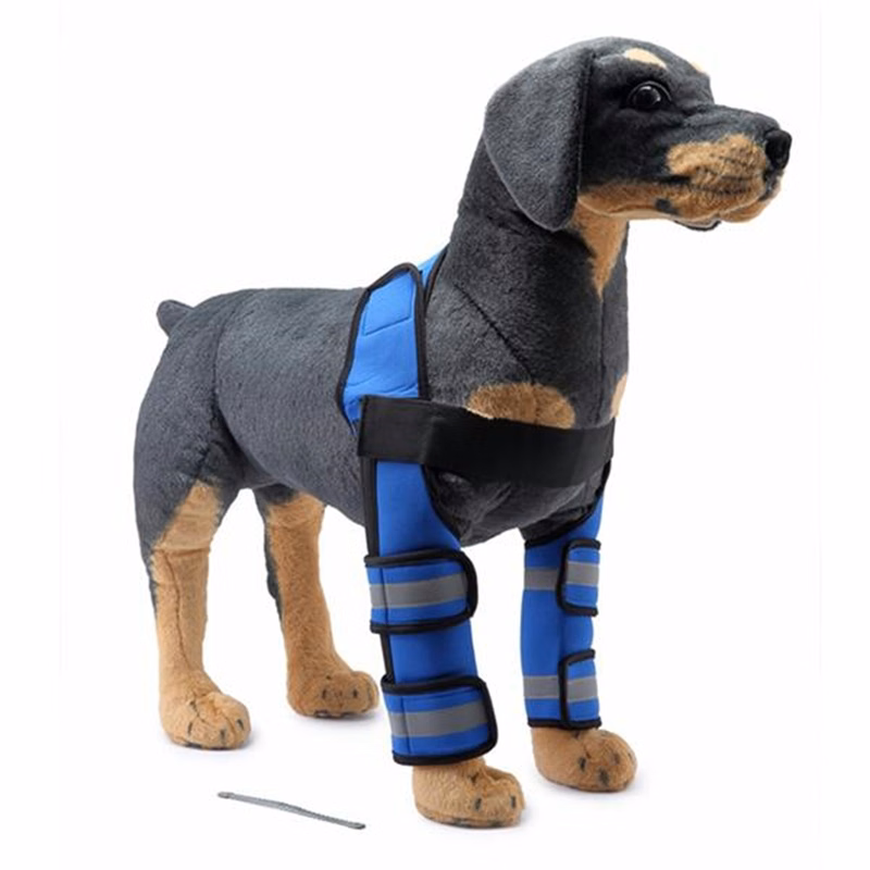 Dog Double Knee Brace