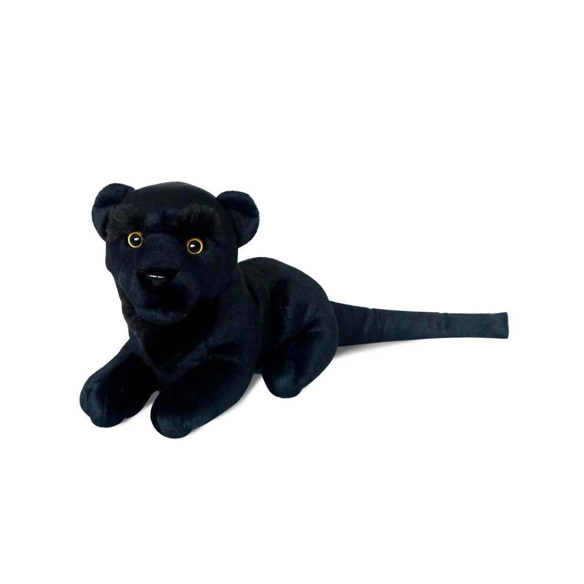Bushy Eyebrow Cats 1