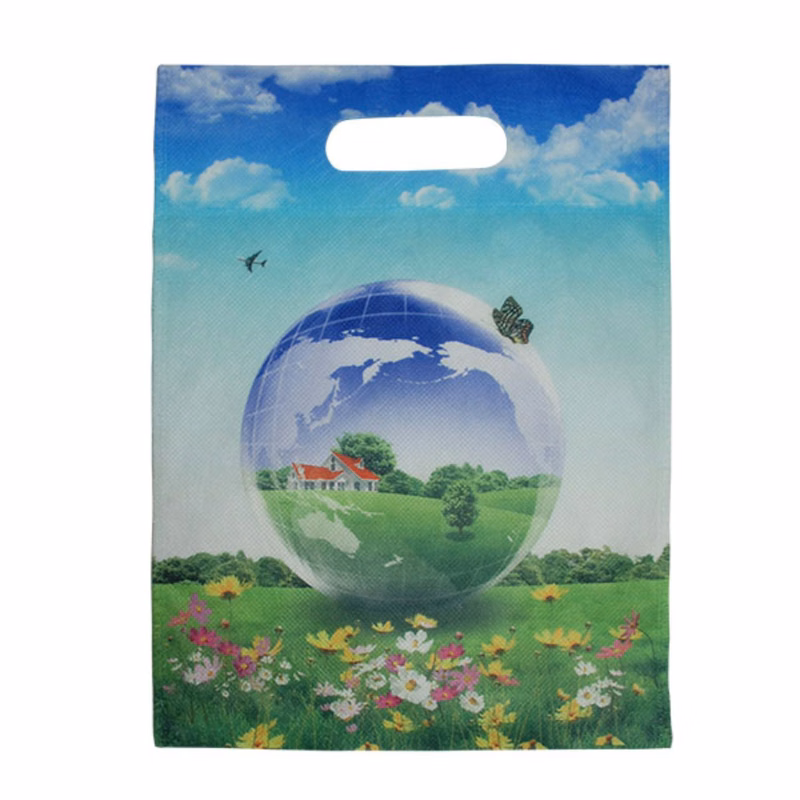 100 GSM Full Color Shopping Bag with Die-Cut Handles (10.25" x 13")