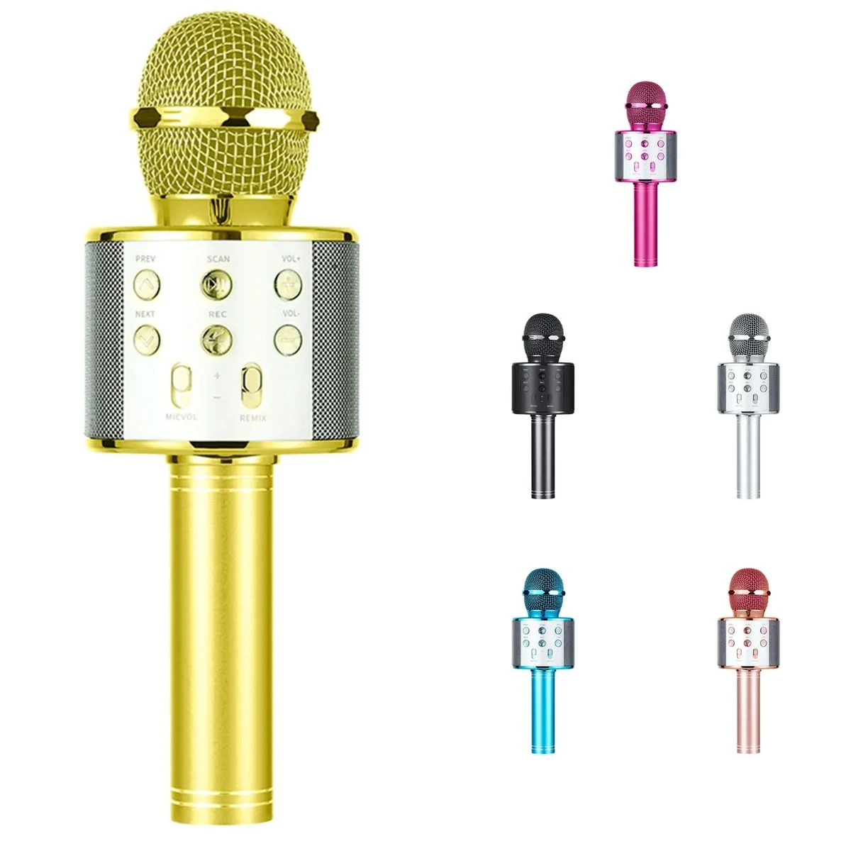 Karaoke Microphone 1
