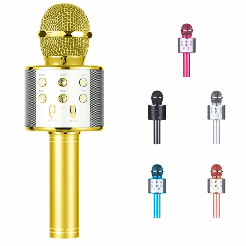 Karaoke Microphone