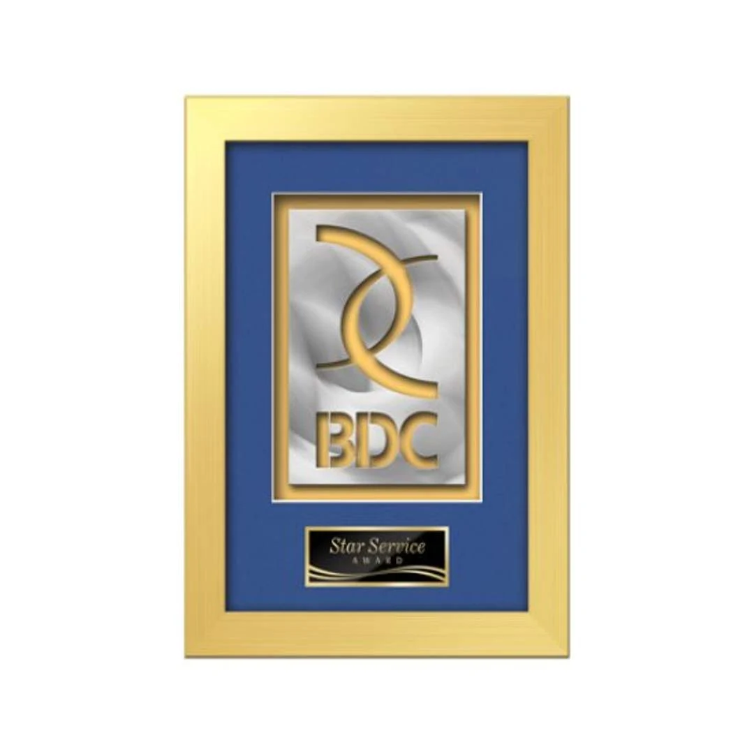Eldridge Aquashape™ Award - Gold 1