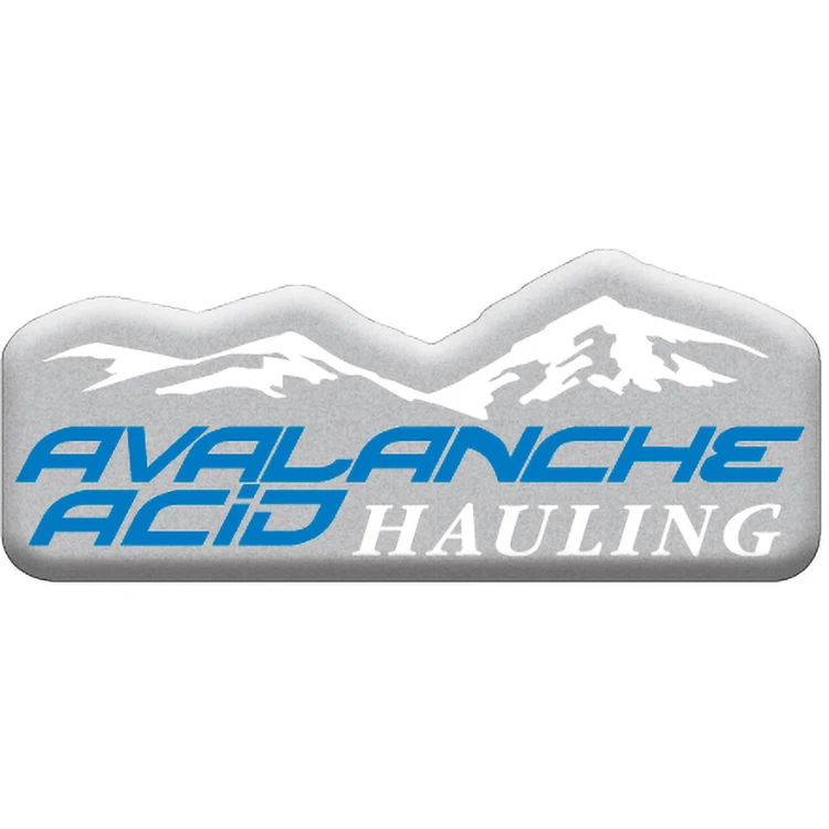 3 Sq. Inch Custom 4 Colour Process Matte Silver Polyester Domed Decal 1