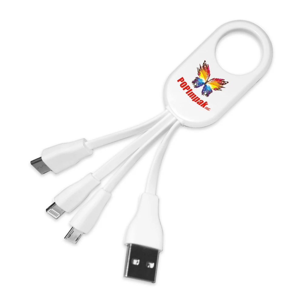 Burnside 4-in-1 Charging Cable 1