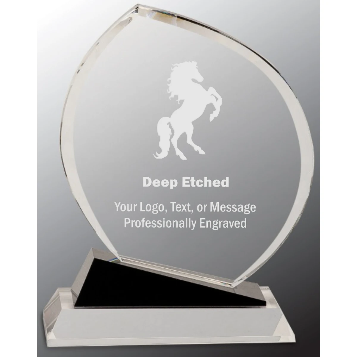 9 1/2" Crystal Award Oblong with Black Accents 1