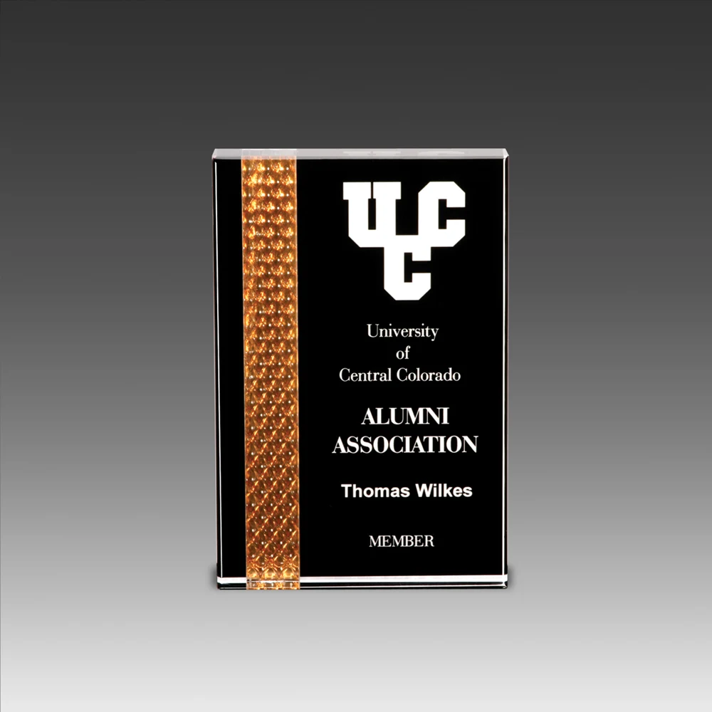4.5" x 7" Prismatic Award w/Reflective Prism Inlay 1