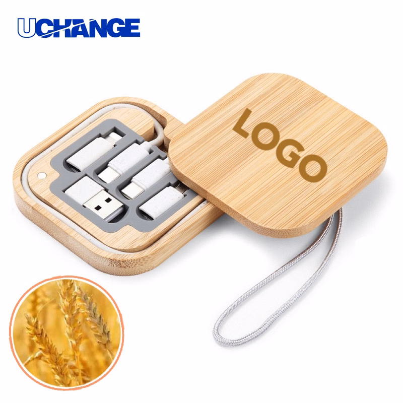 Wheat Straw USB Adapter Set for Daily Use