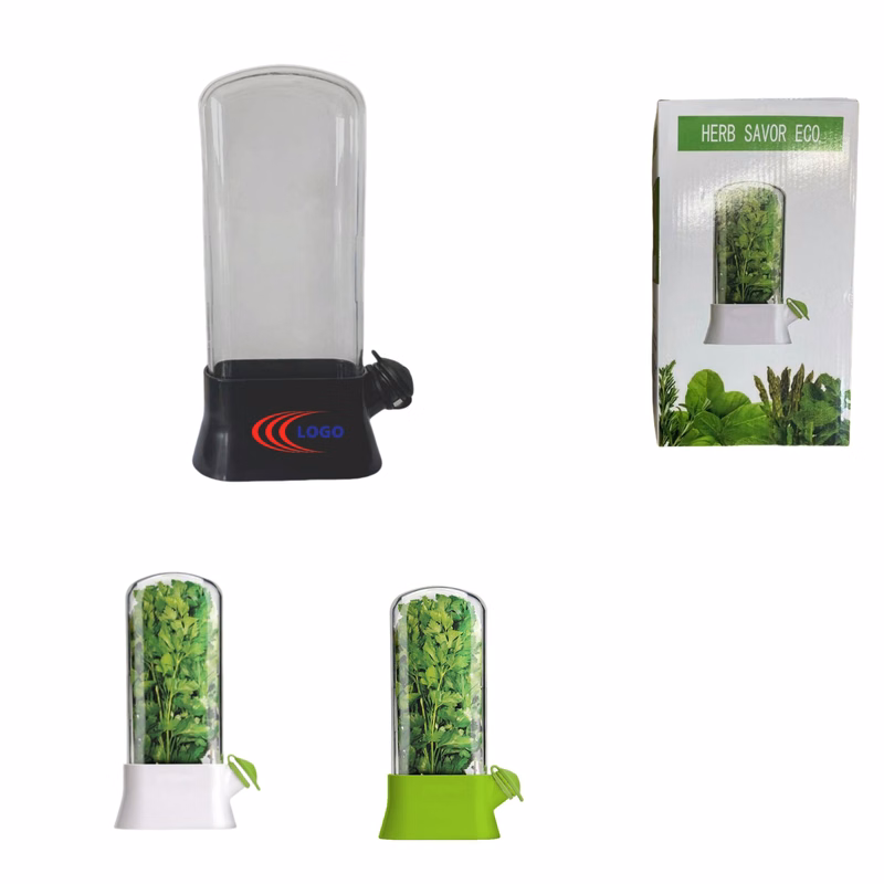 Vegetable Preservation Box