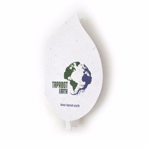 Seed Paper Leaf Perforated Card