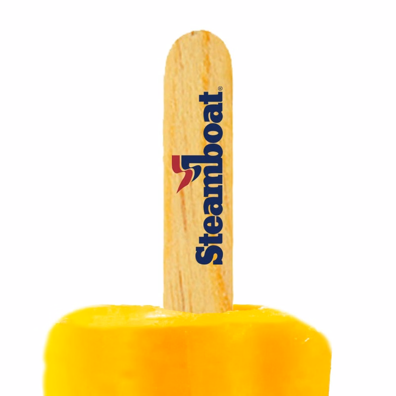 4.5 inch Custom Popsicle Sticks