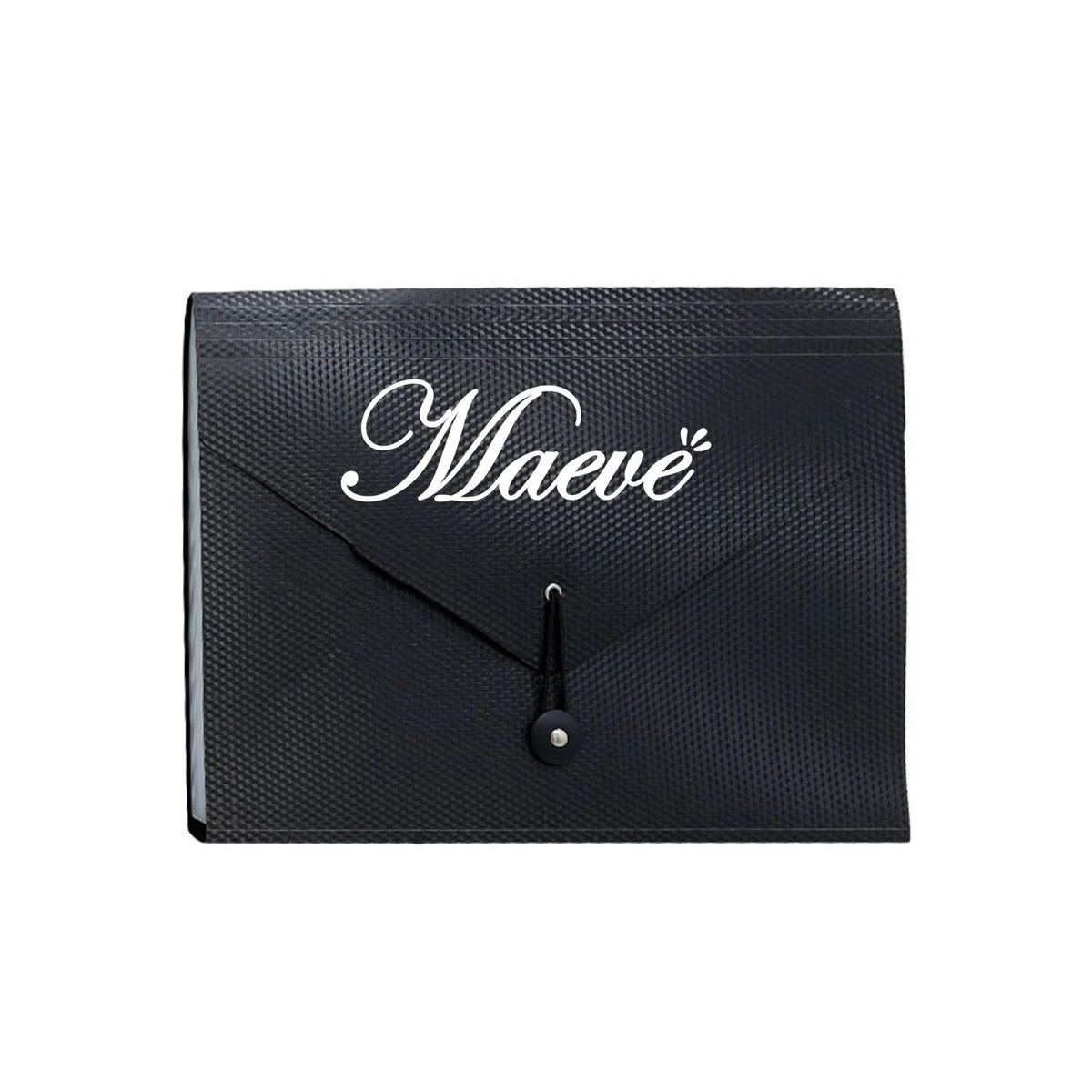 Accordion File Organizer with Elastic Closure 1