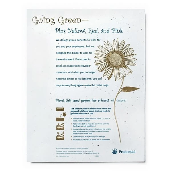 Seed Paper Flyer 1