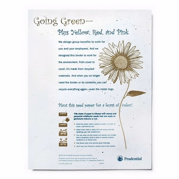 Seed Paper Flyer
