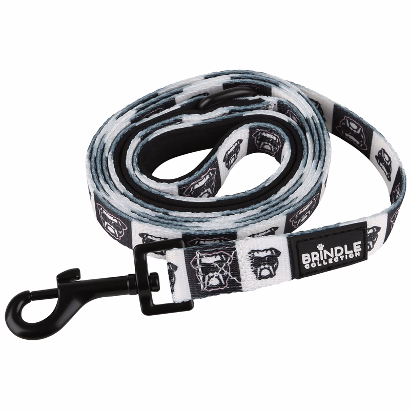 Dog Leash With Neoprene Backing: Regular