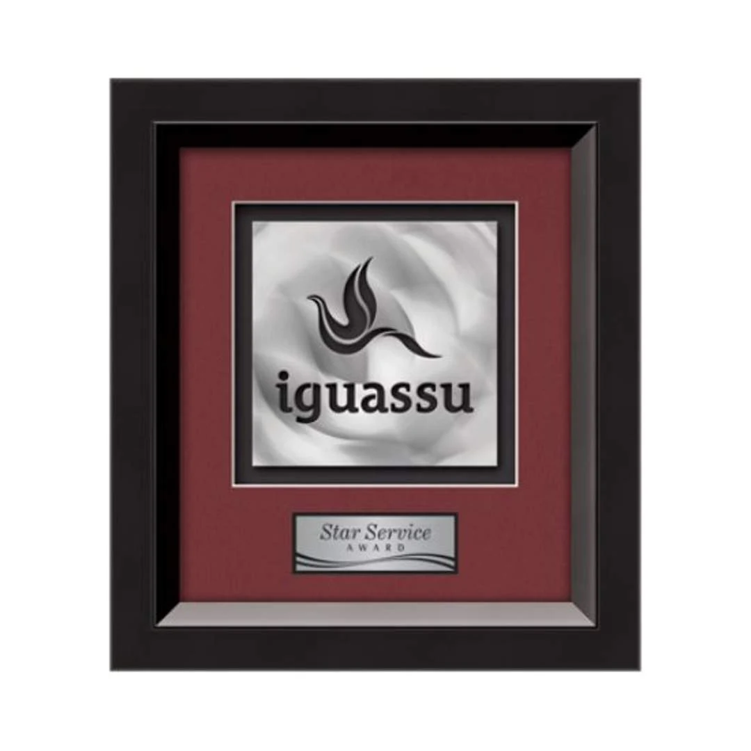 Omni Aquashape™ Award - Black/Black 1